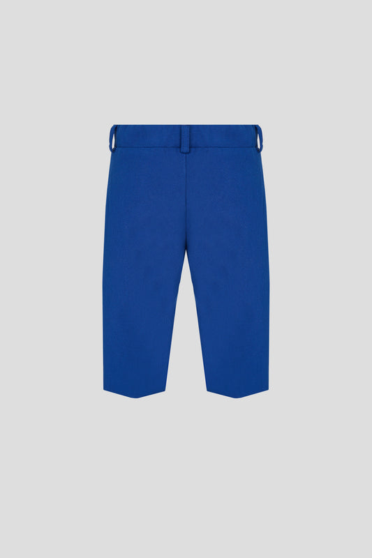 Smart Trousers, cornflower blue