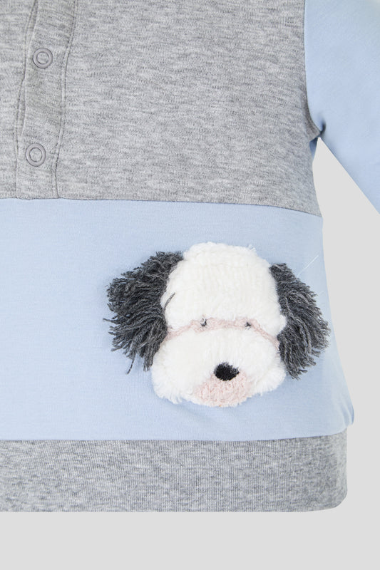 Sweatshirt and pants Set