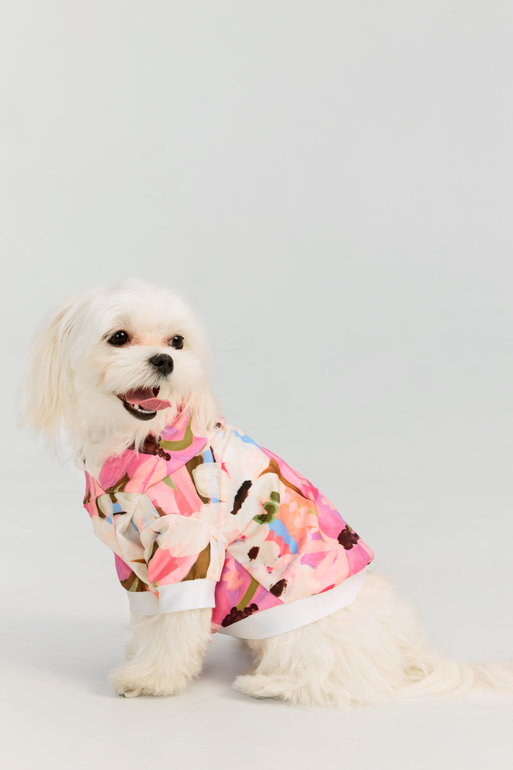 Hoodie for small pets