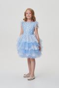 Sequins Decorated Fluffy Skirt Dress