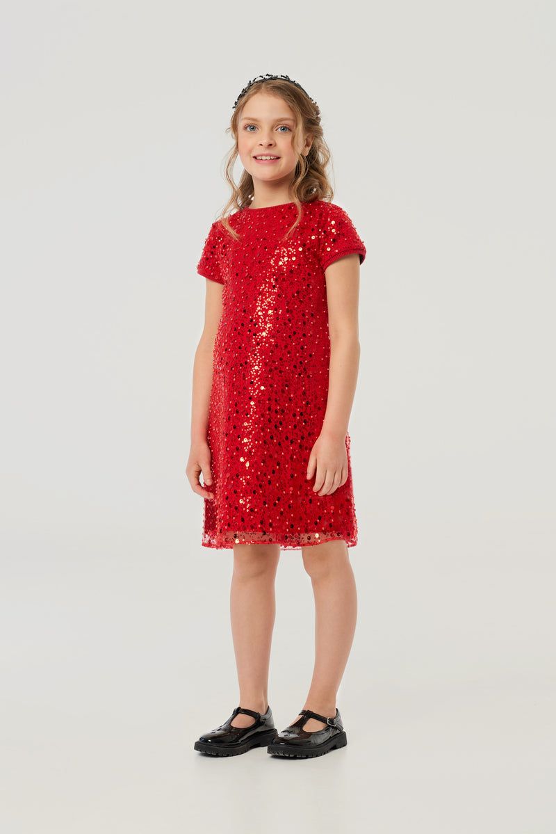 A-Silhouette Sequins Coctail Dress