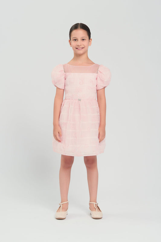 Smart Pink Lace Dress