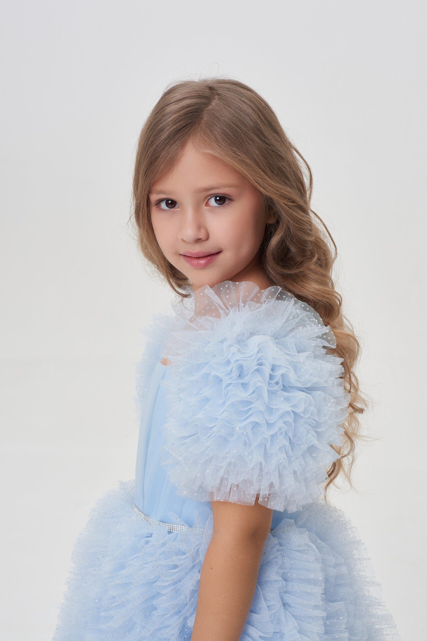 Fluffy Skirt and Sleeves Dress