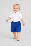 Cornflower Blue Cotton-Blend Smart Shorts