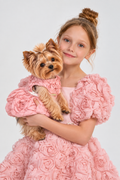 Special Occasion Dress for pets size S