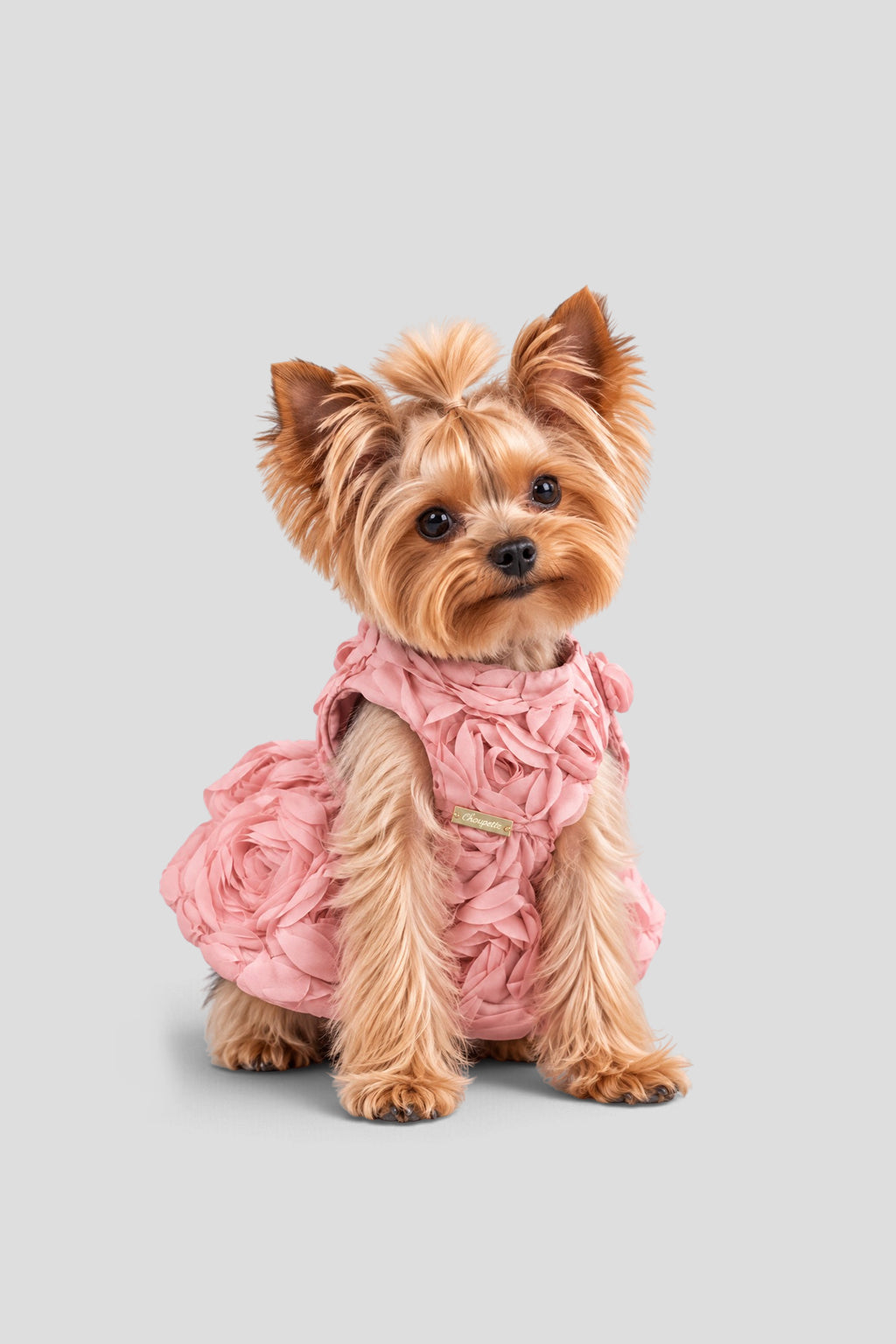 Special Occasion Dress for pets size S
