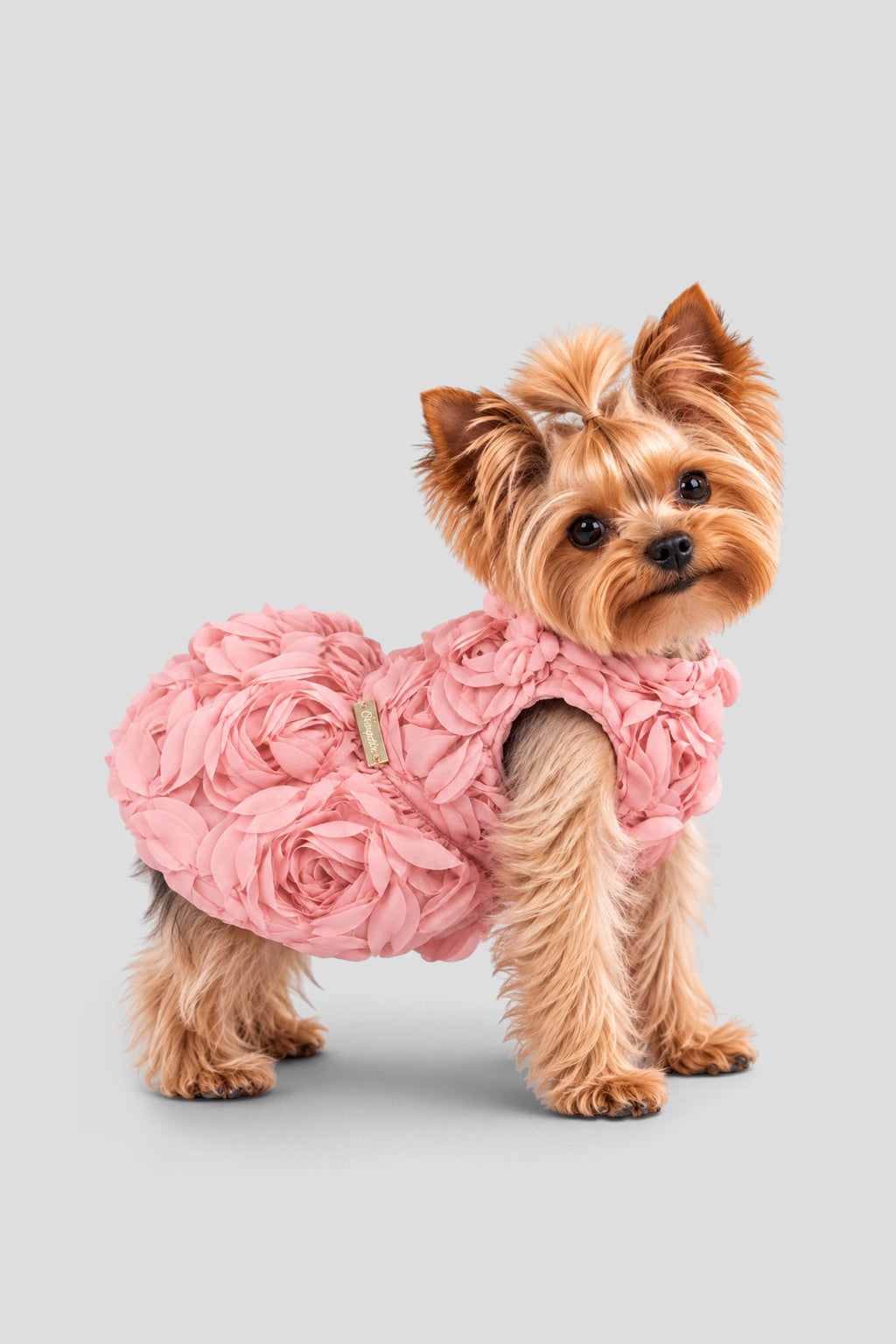 Special Occasion Dress for pets size S