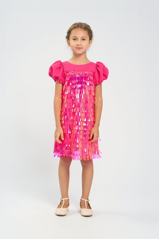 Elegant Sequins Dress