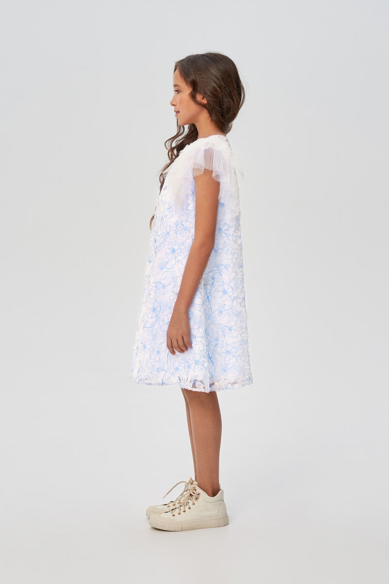 Lace on Mesh Flounces Dress