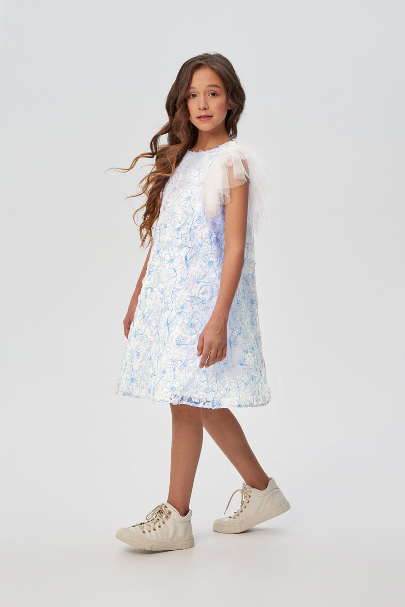 Lace on Mesh Flounces Dress