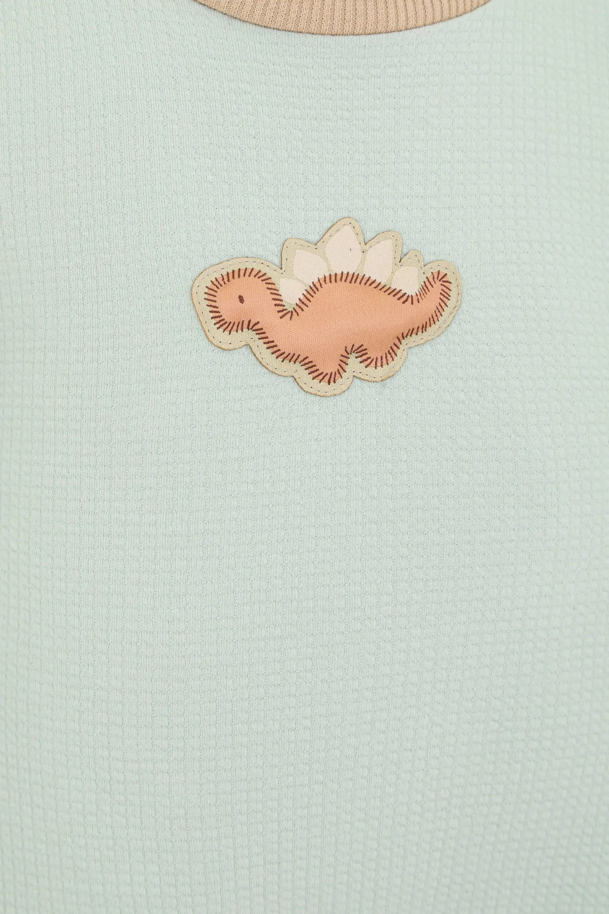 Dinosaur Applique Overall