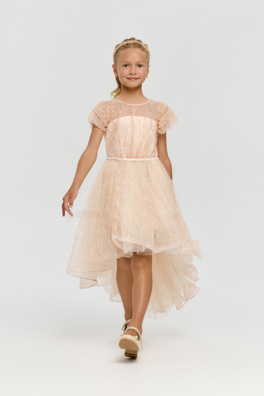 Stylish Sequins Decorated Dress