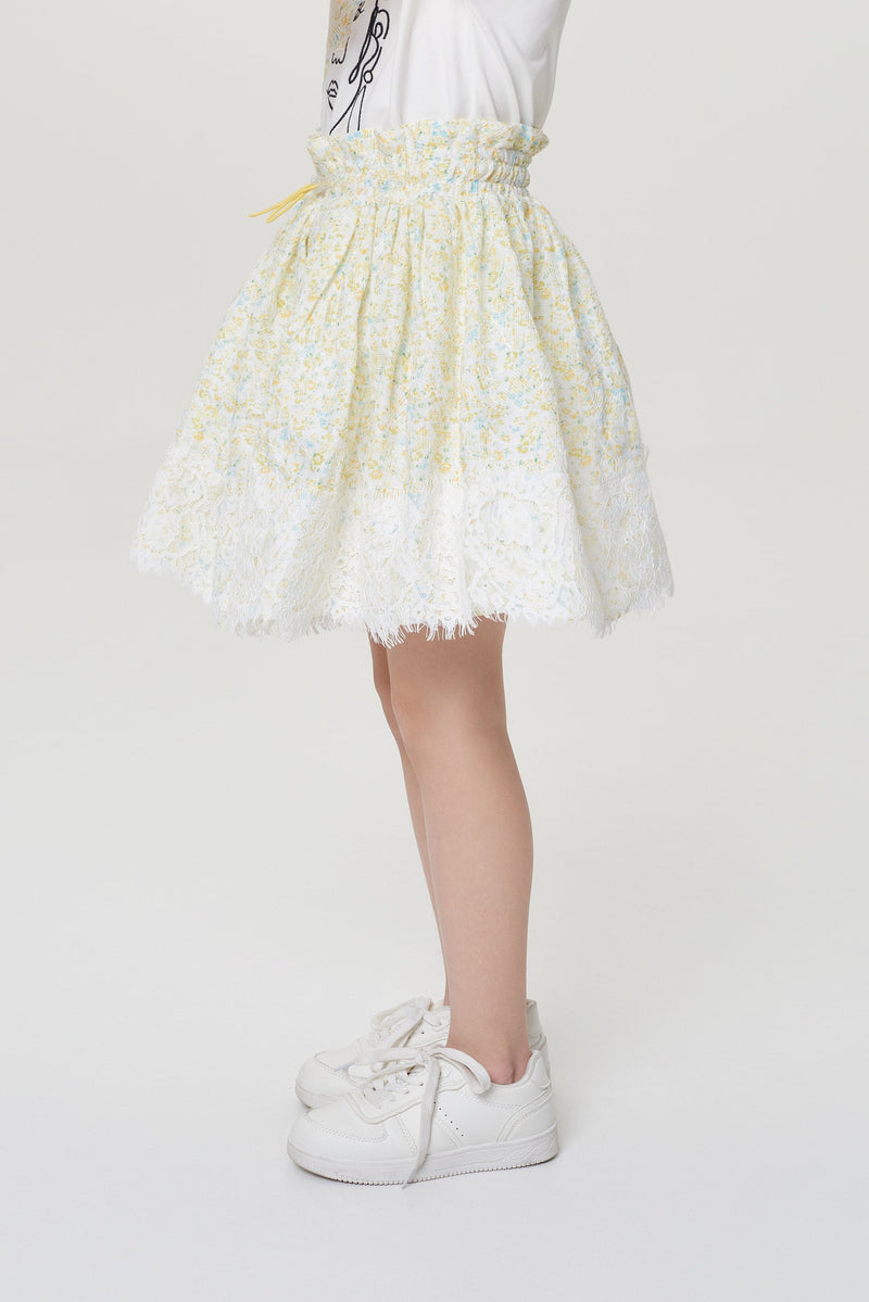 Embroidered Lace Shiffon Skirt
