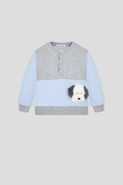 Sweatshirt and pants Set