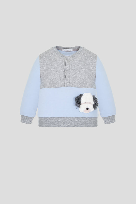 Sweatshirt and pants Set