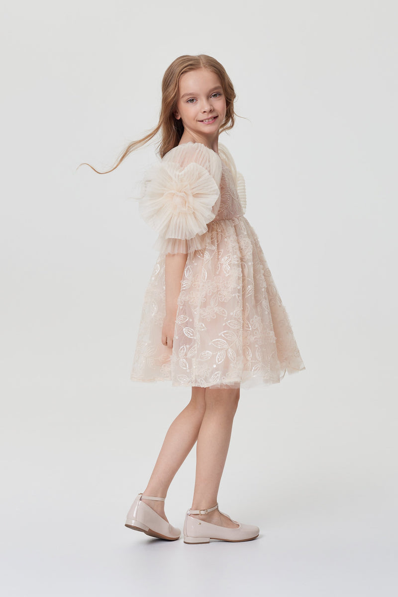 Balloon Sleeves Sequins Embroidered Dress
