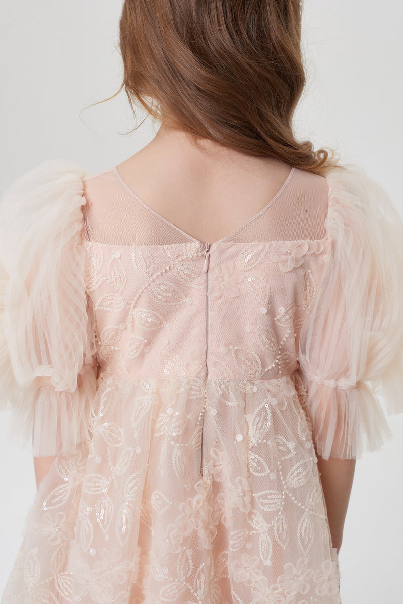 Balloon Sleeves Sequins Embroidered Dress