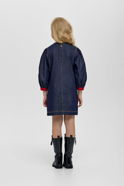 Elegant Denim Dress