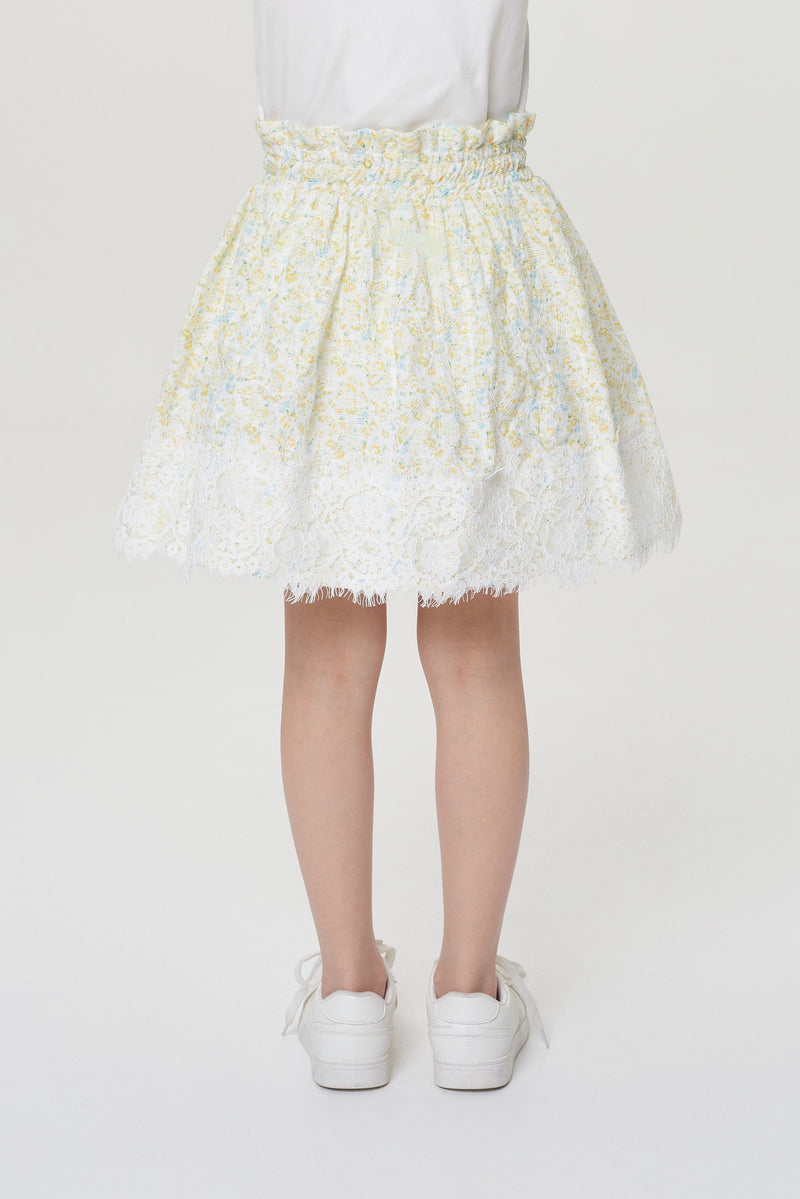 Embroidered Lace Shiffon Skirt