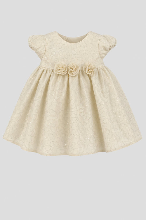 3D Flower Jacquard Dress for baby girl