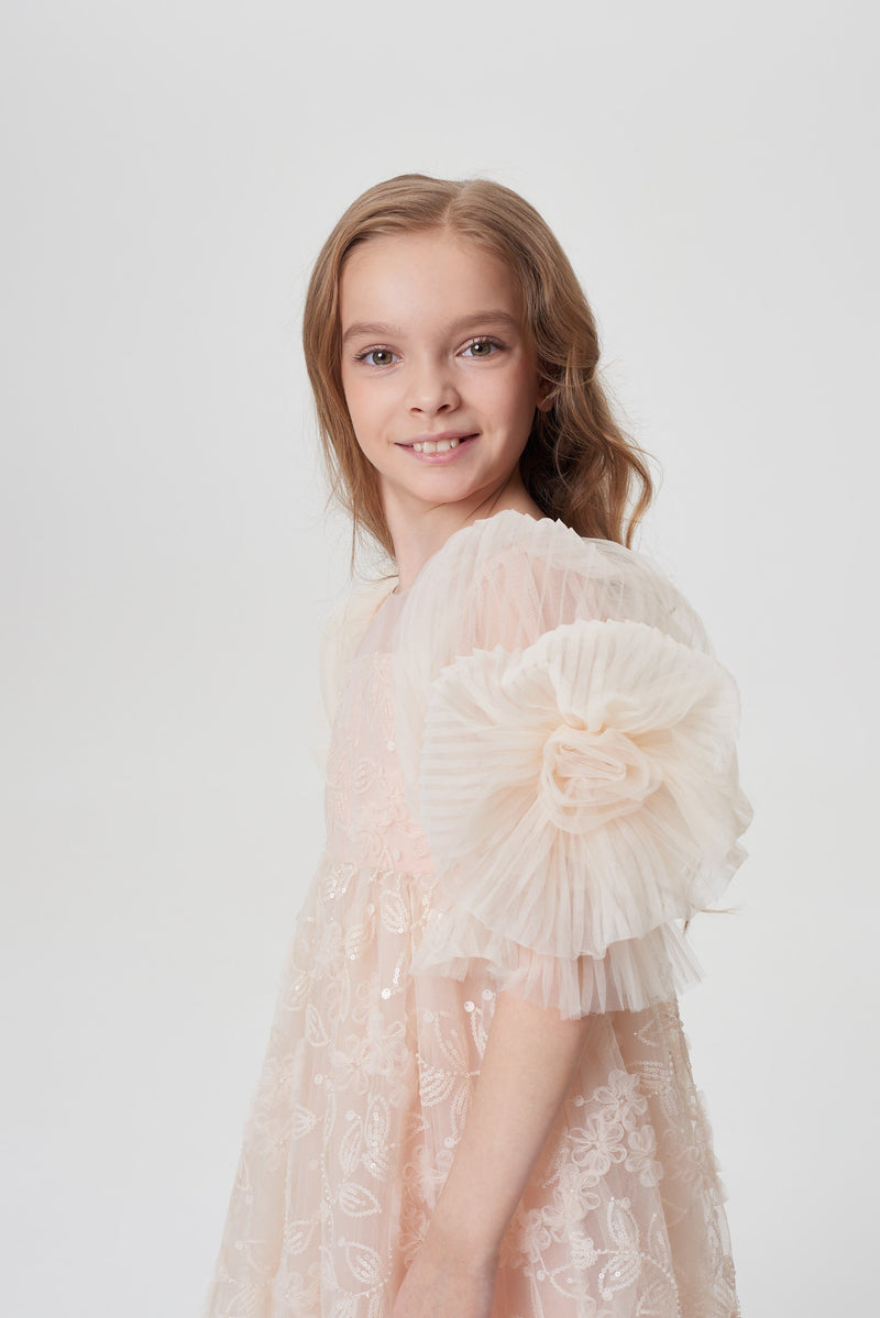 Balloon Sleeves Sequins Embroidered Dress