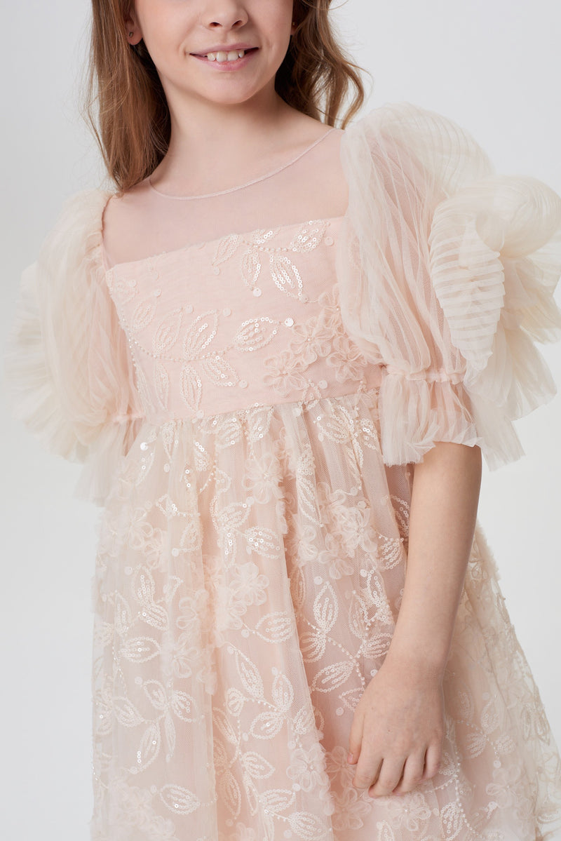 Balloon Sleeves Sequins Embroidered Dress