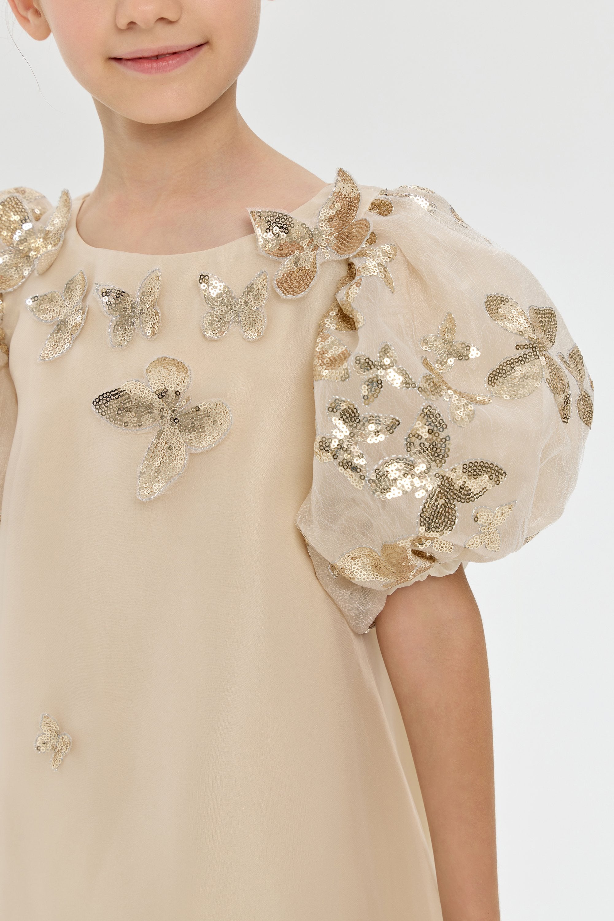 3D Butterflies Sequins Decorated Dress