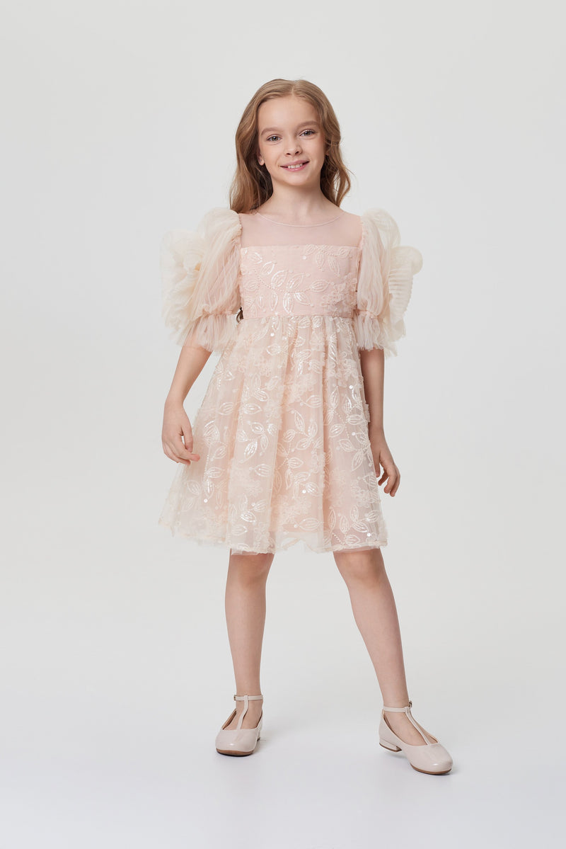 Balloon Sleeves Sequins Embroidered Dress