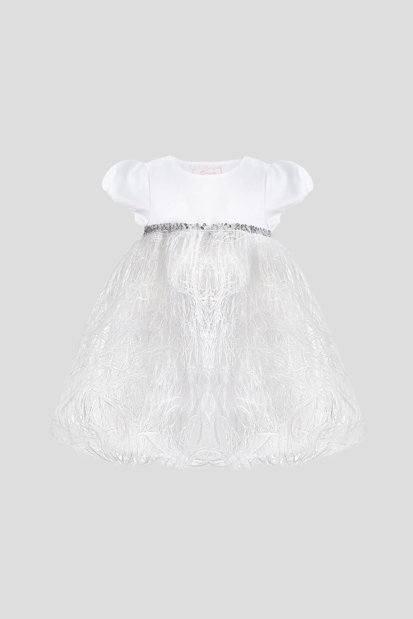 Elegant Dress with fluffy skirt and decor