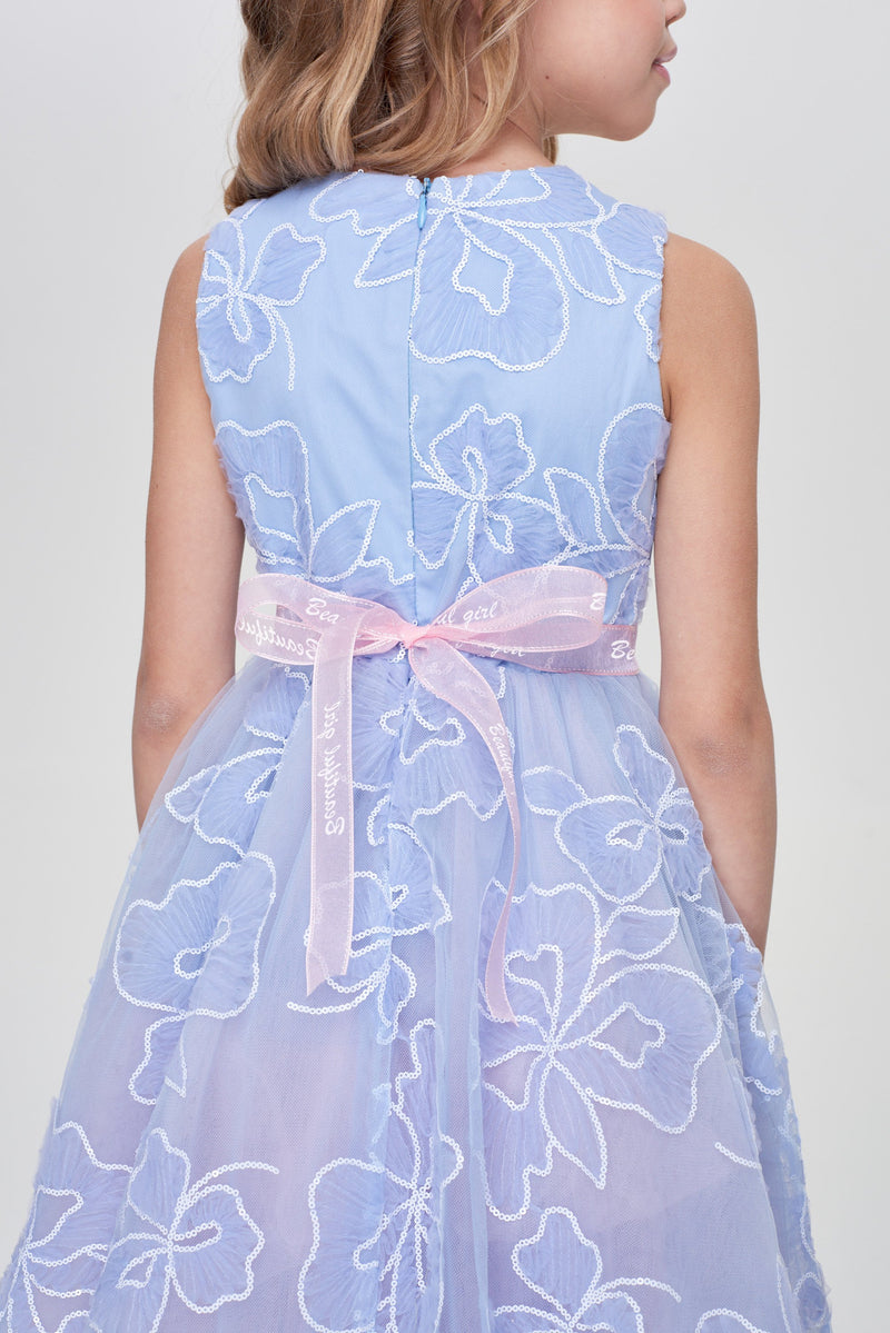 Smart  Lace Dress